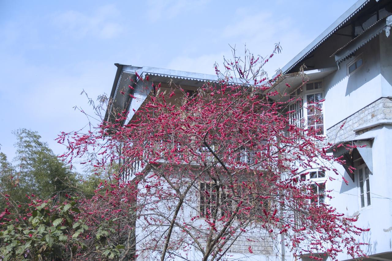 The Mazong Hotel 강토크 외부 사진